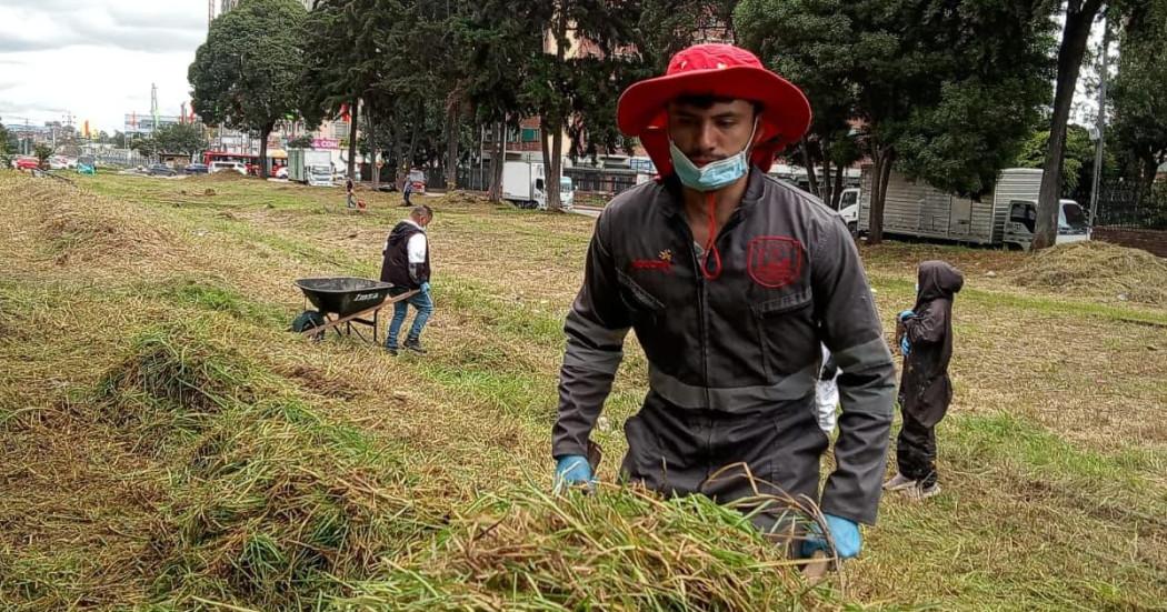 Defensores del Espacio Público revitalizaron zonas verdes de Bogotá