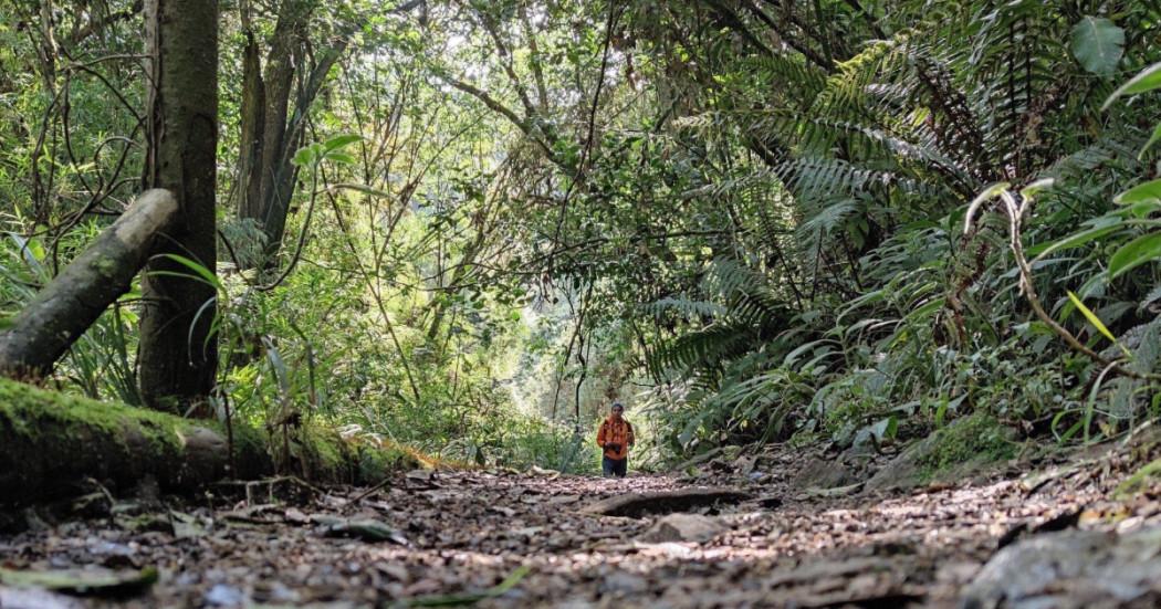 Paro Nacional estarán abiertos los senderos de Bogotá 28 y 29 de mayo
