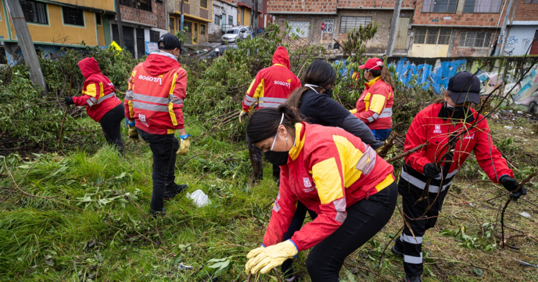 Distrito transforma espacios públicos con apoyo de la comunidad 