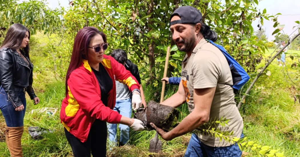 Bogotá siembra memoria con los árboles nativos en su joya ancestral