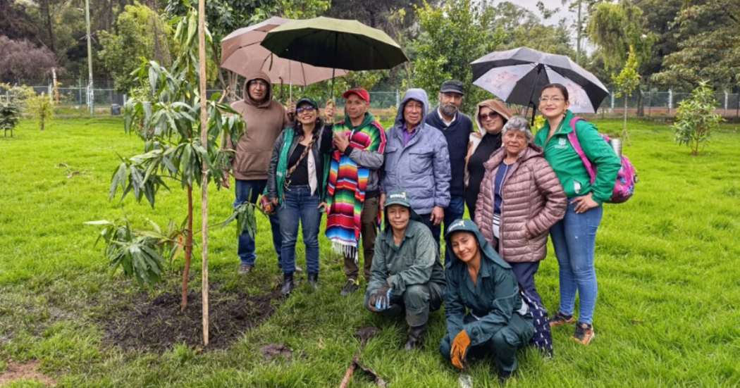 Maestros de Bogotá celebraron su día en un entorno natural y especial 