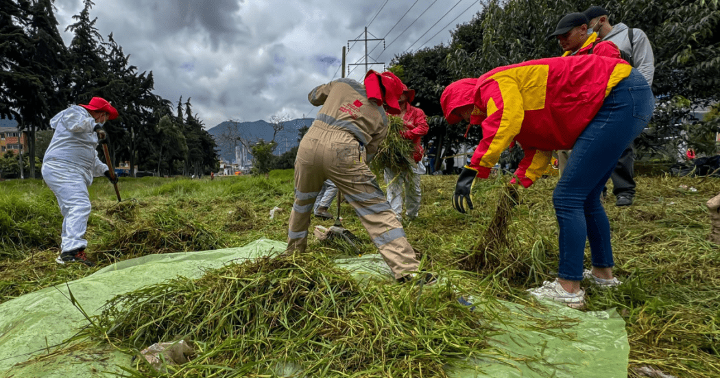Embellecimiento y recuperación espacio público en la carrilera Bogotá mayo 2025