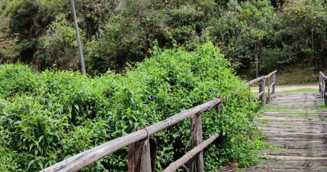 Plan piloto en Bogotá para recorrer el camino Santa Ana en bicicleta 