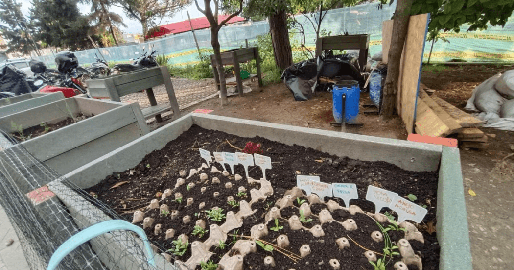 Taller de huerta comunitaria para personas con discapacidad en Bogotá