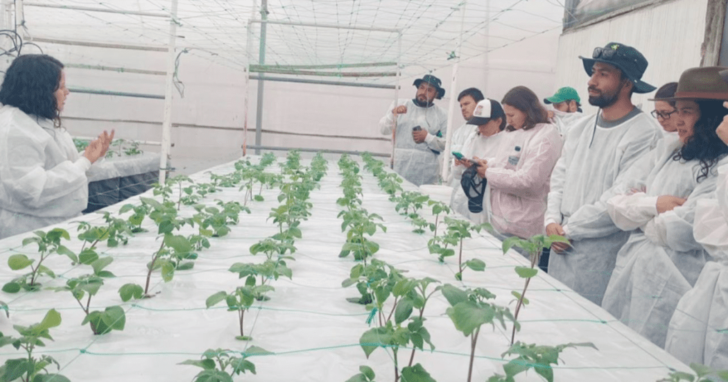 Jardín Botánico y AGROSAVIA aliados por huertas urbanas en Bogotá 2025