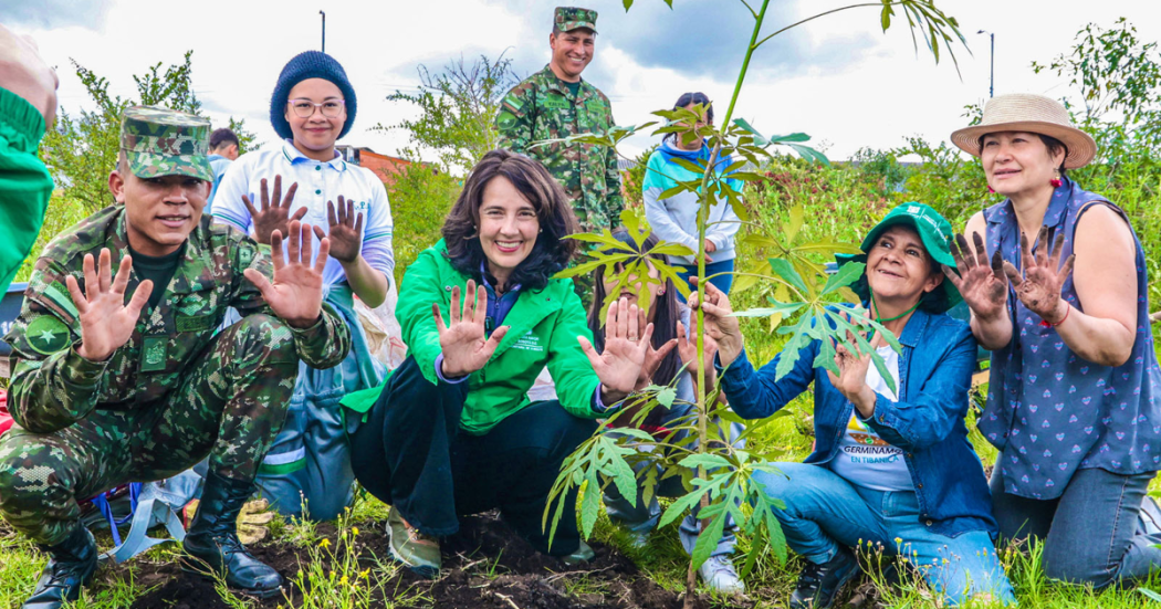 Bogotá planta 250 nuevos árboles en humedales y en zonas de reserva