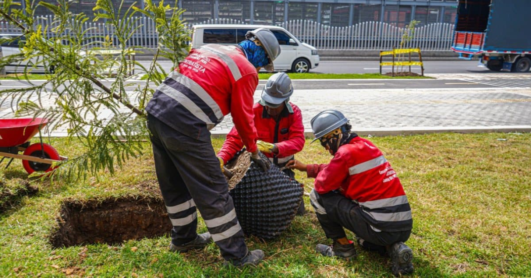 Día Mundial del Medio Ambiente 2025 construcción Bogotá más sostenible