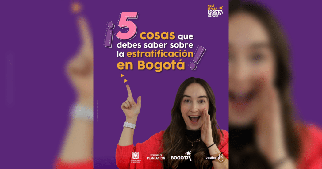 Para qué sirven los estratos uno dos tres cuatro cinco y seis Bogotá