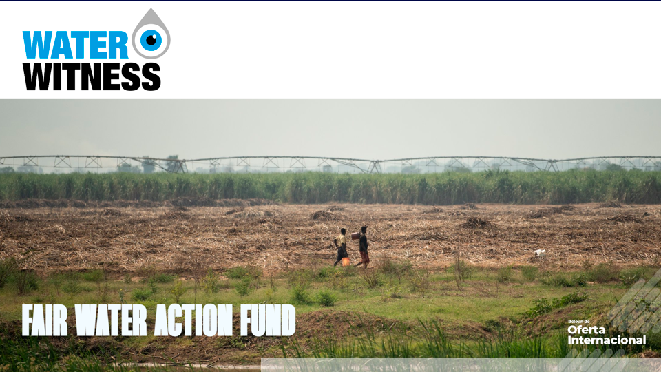 Convocatoria internacional de Water Witness para organizaciones