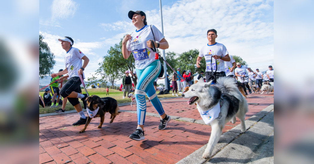 Carrera Canicross en Festival de Verano parque Tunal este 3 de agosto