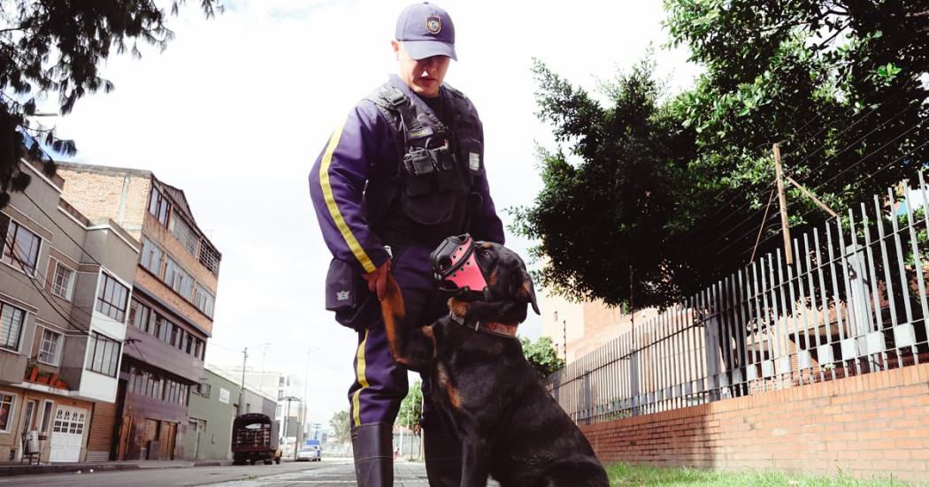Secretaría de Salud de Bogotá puesta por una seguridad sin perros