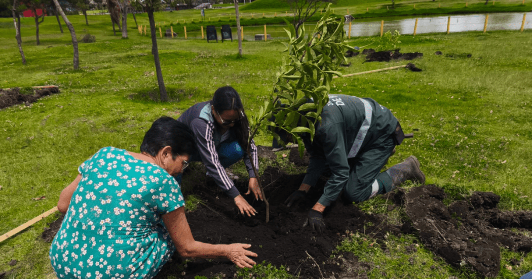 Torneo Copa 70 Años Bosques Urbanos 2025 en parque El Tunal Bogotá