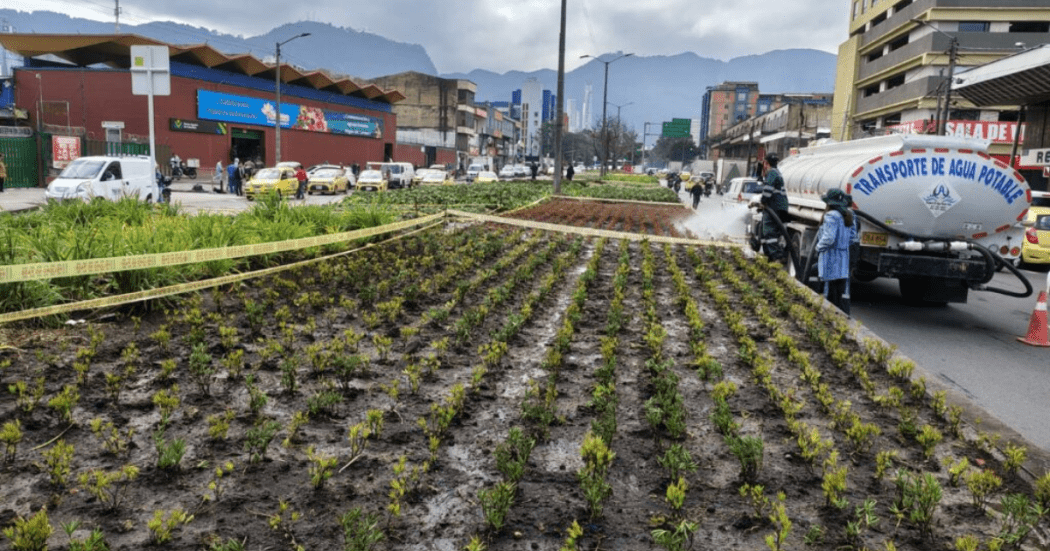 Bogotá revitaliza jardines y separadores en inmediaciones a Paloquemao