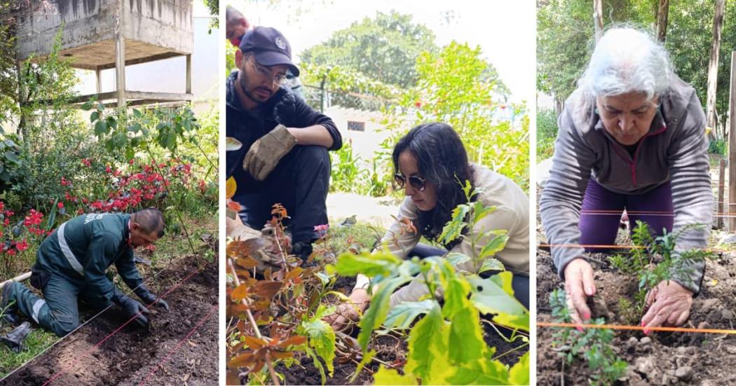 Con apoyo de la comunidad se reverdece Bogotá con huerta urbana de jardinería