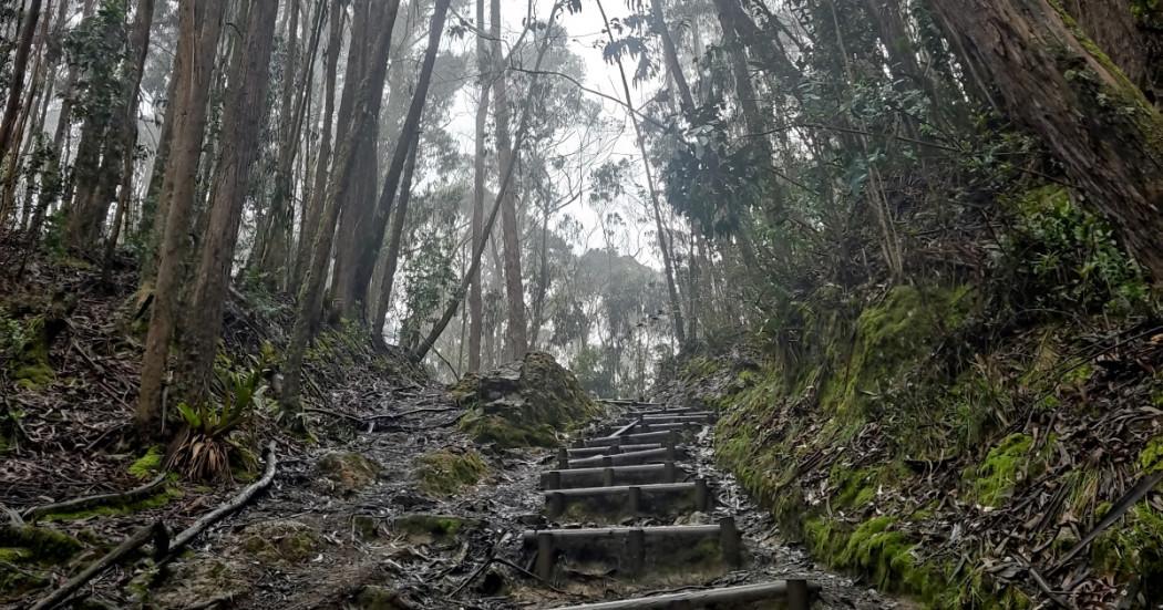 Senderos Cerros Orientales de Bogotá cerrados este jueves 7 de agosto