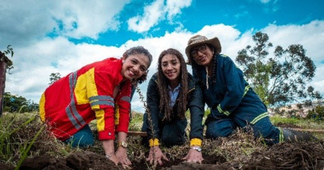 Cumpleaños de Bogotá 2025 acciones de la localidad de Tunjuelito