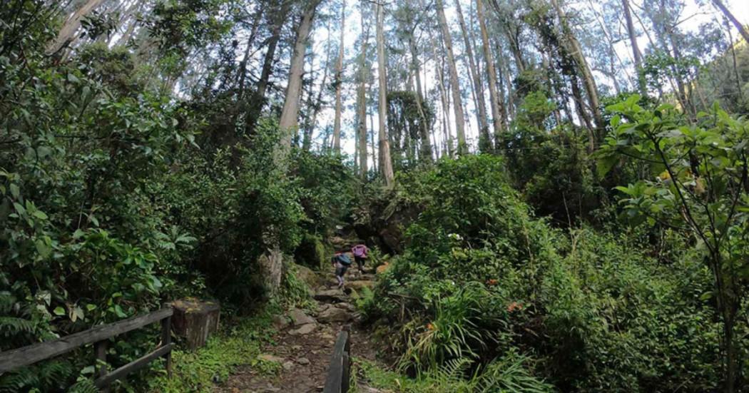 Inscripciones Escuela Responsabilidad Social y Ambiental Bogotá 2025