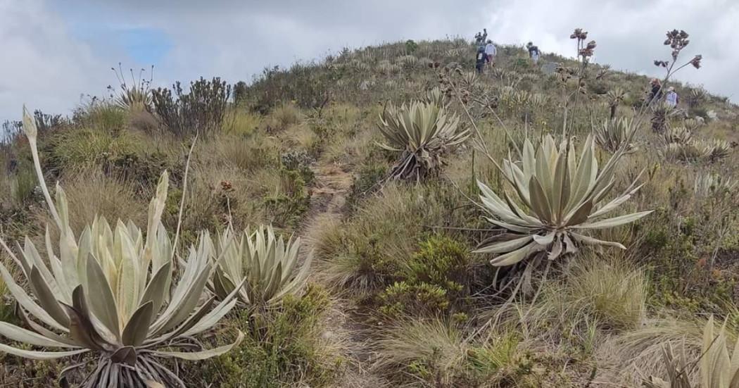 Listado admitidos en la Escuela de Responsabilidad Social y Ambiental