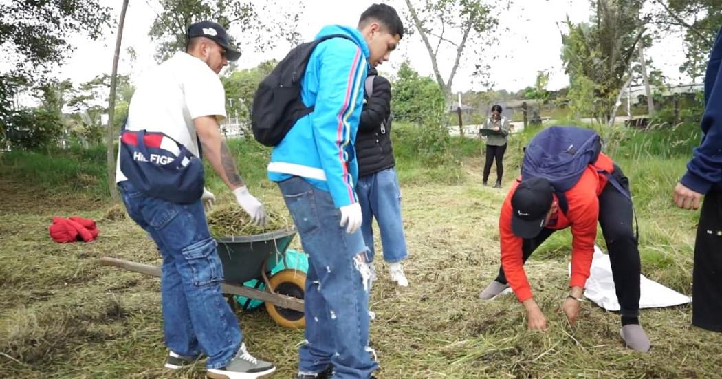 Video: Por colarse en TransMilenio comparendos de convivencia en Bogotá