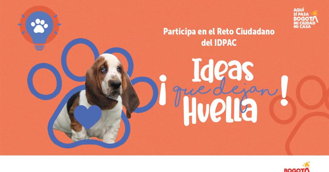 Participa en este Reto Ciudadano del IDPAC y haz que tus Ideas Dejen Huella