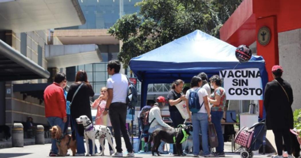 Punto de vacunación para mascotas en Corferias Expopet Bogotá 2025