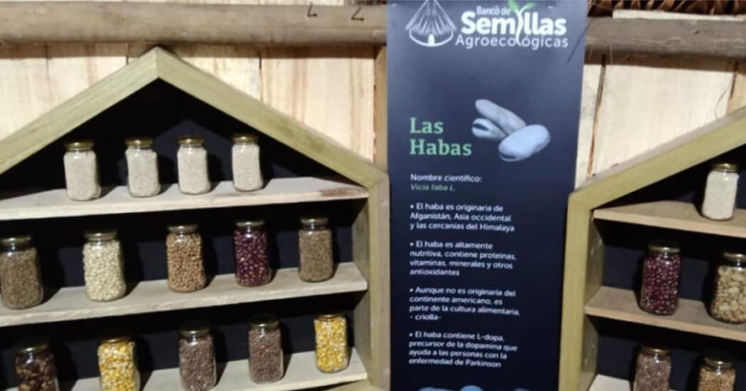 Qué son los bancos de semillas y por qué son importantes para Bogotá