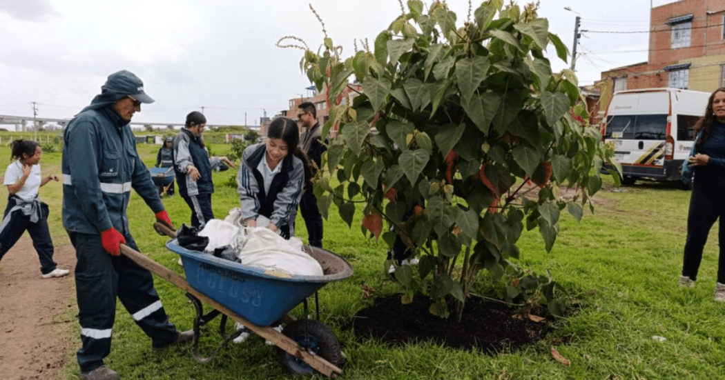Se reanturaliza parque de Bosa en Bogotá ayudado de empresa privada