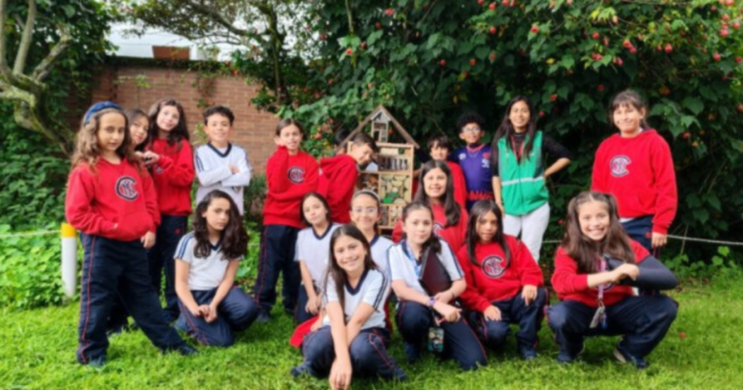 Abejas polinizadoras en el Colegio Nueva York de Bogotá 2025