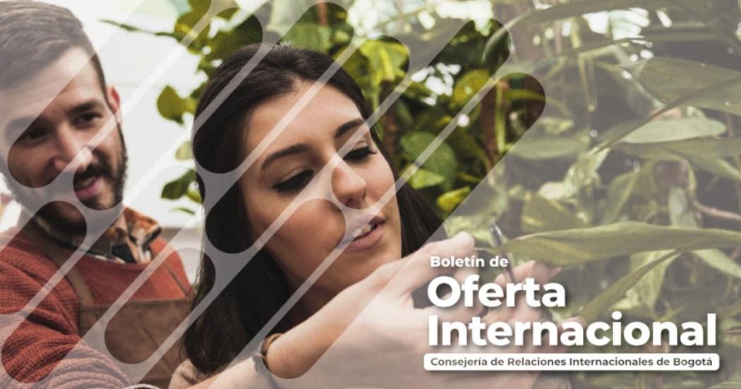 Accede a becas, fondos y premios internacionales desde Bogotá 2025