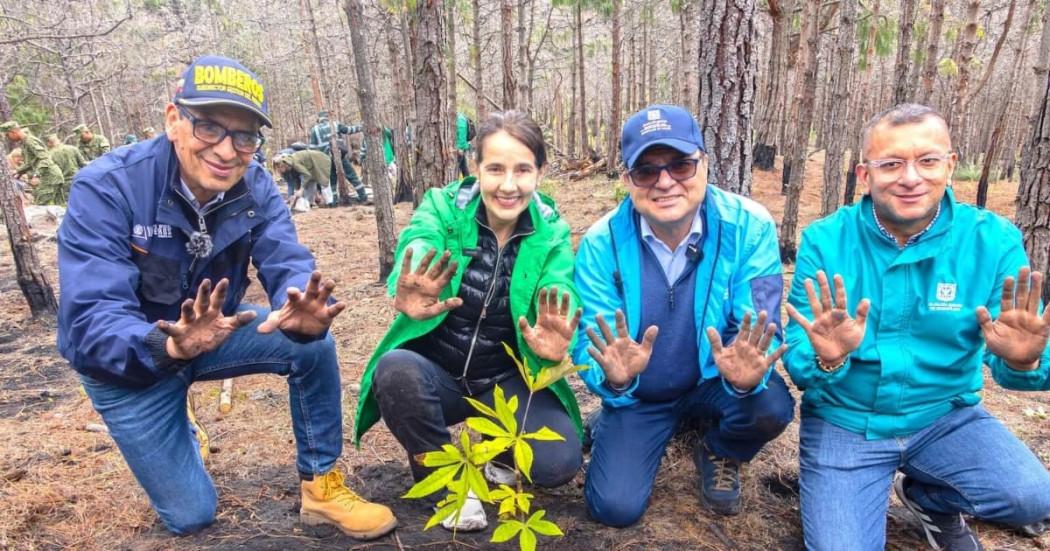 Culmina siembra de árboles nativos en Cerro El Cable de Bogotá