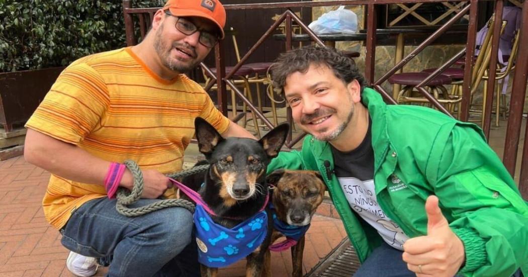 13 animales encontraron nuevo hogar jornada adopción Theatrón Bogotá septiembre 2025