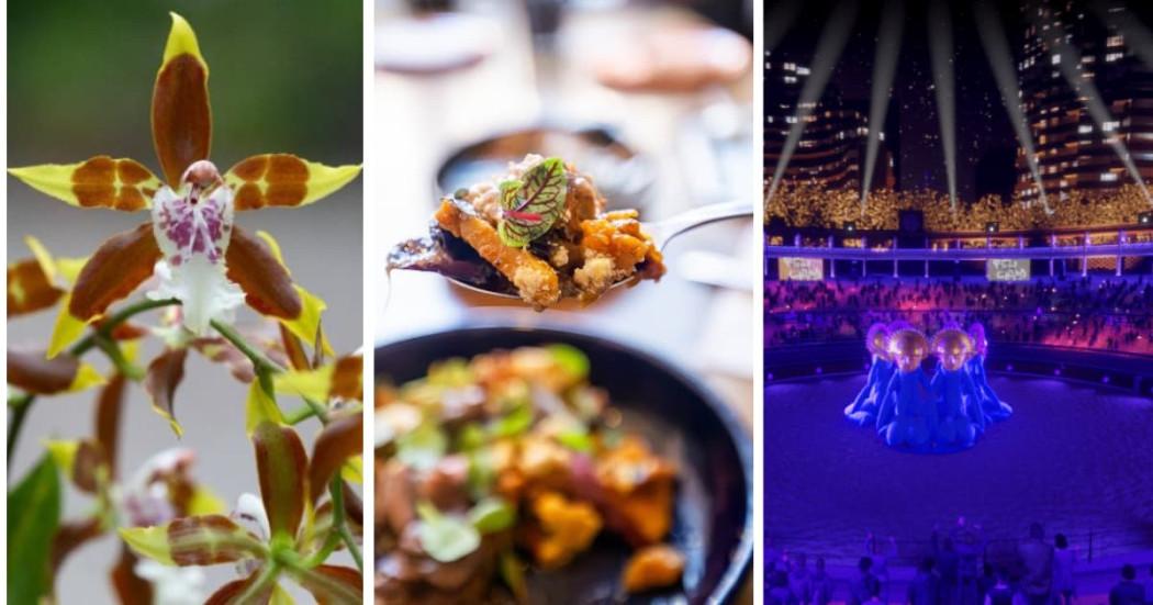 Planes en Bogotá y conciertos para celebrar Día de Amor y Amistad 2025