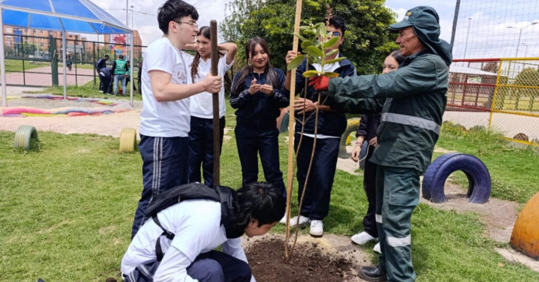 Imagen de jóvenes plantando un árbol en el parque El Porvenir de Bosa.