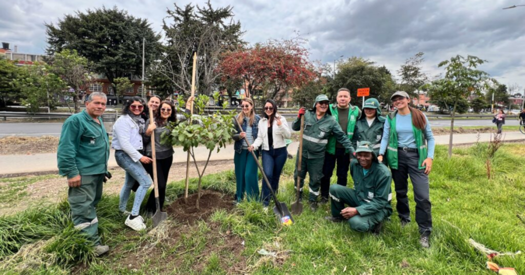 En Bogotá se renaturalizan sectores de la calle 26 y Autopista Norte