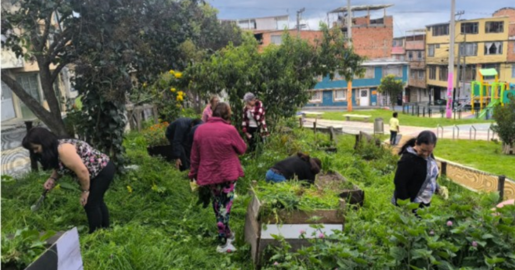 Conoce la huerta urbana Huerta María Cano en Ciudad Bolívar de Bogotá