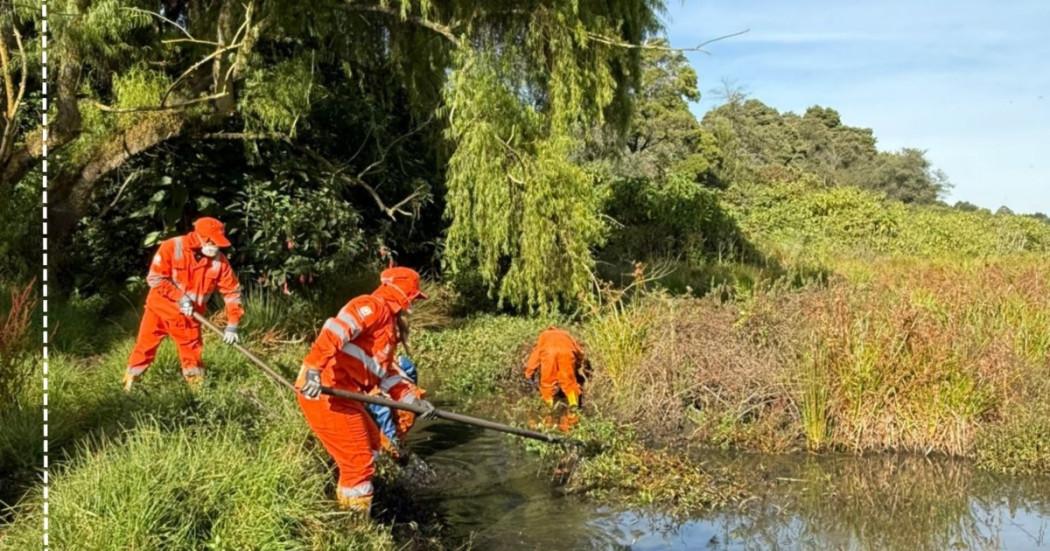 Foto de trabajadores de Aguas Bogotá en limpieza del Humedal La Conejera