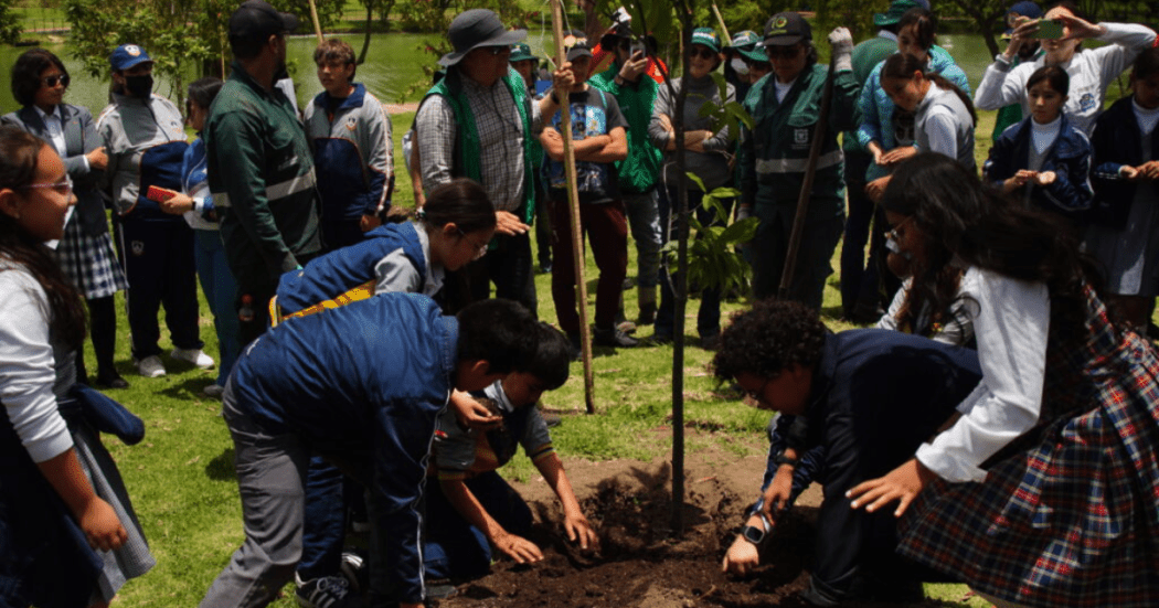 Parque Timiza Bogotá recibe 95 árboles para mejorar calidad del aire 