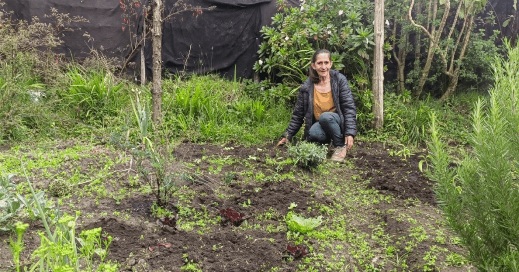 Plataforma digital huertas en Bogotá Localidad de Chapinero 