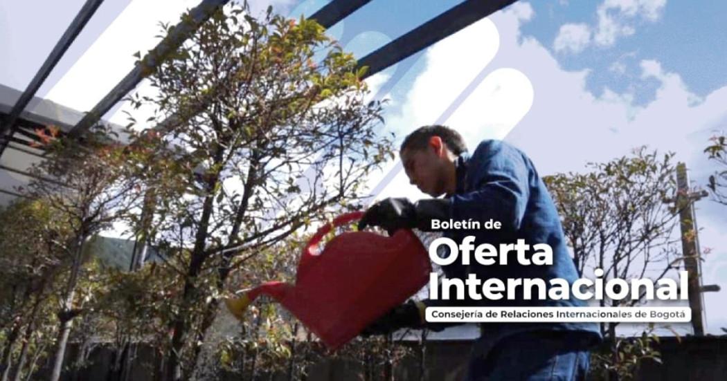 Foto de un hombre realizando riego de plantas.