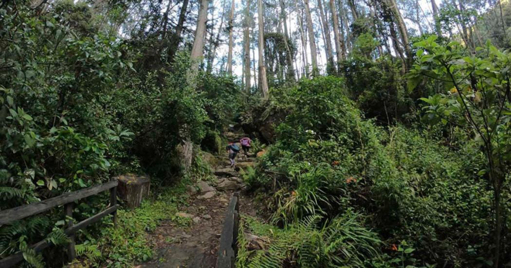 Foto que muestra uno de los sederos de Bogotá 