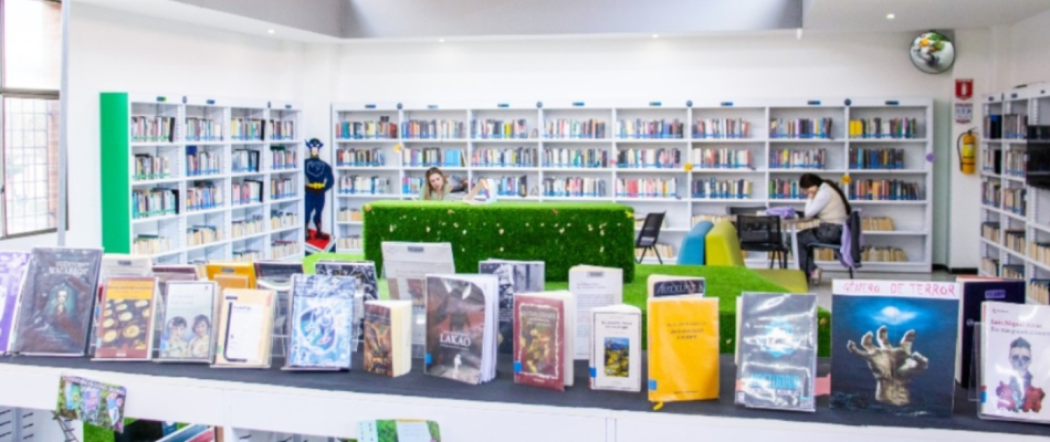 Imagen de libros de la Biblioteca finalista