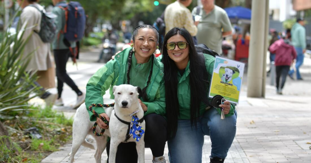 Fotografía de operarios del Distrito con un perro blanco 