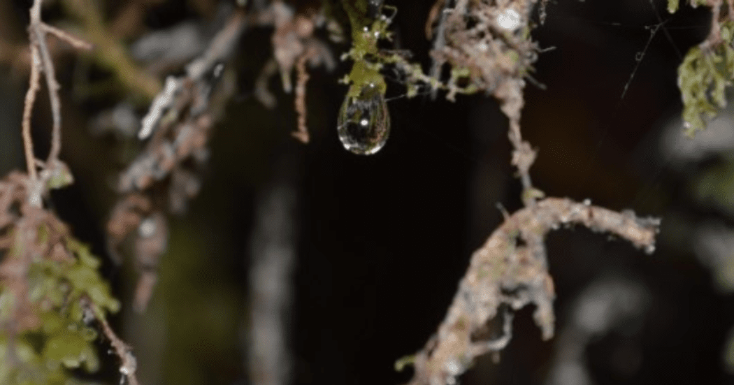 Imagen de una gota de agua