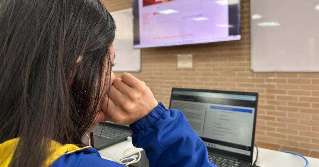 Foto que muestra una estudiante frente a un computador 
