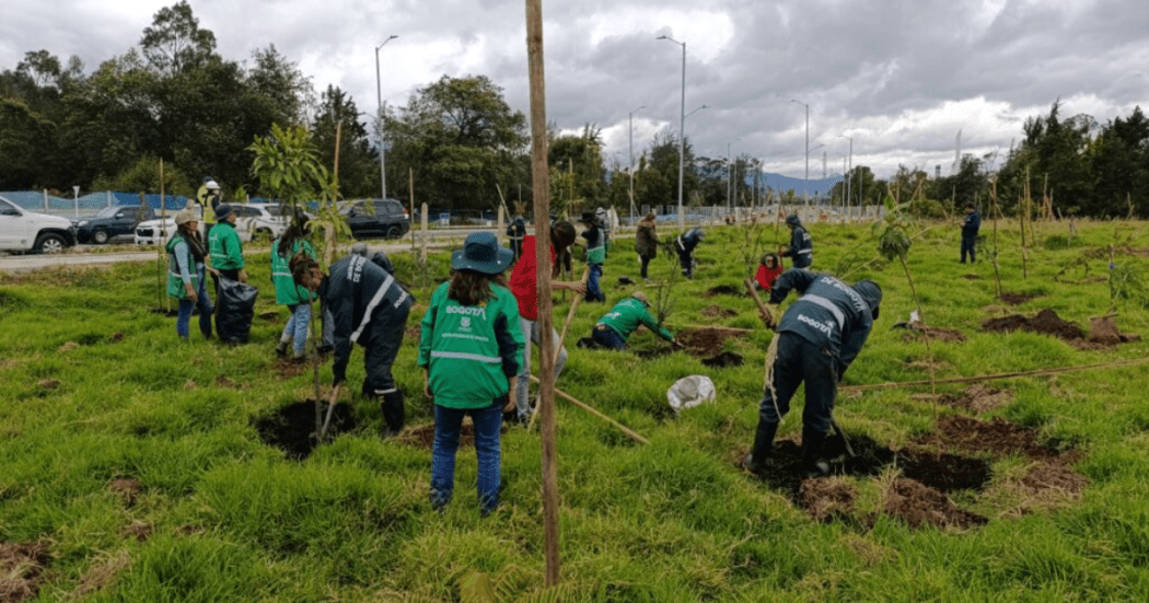 Imagen renaturalizando el nuevo corredor ecológico