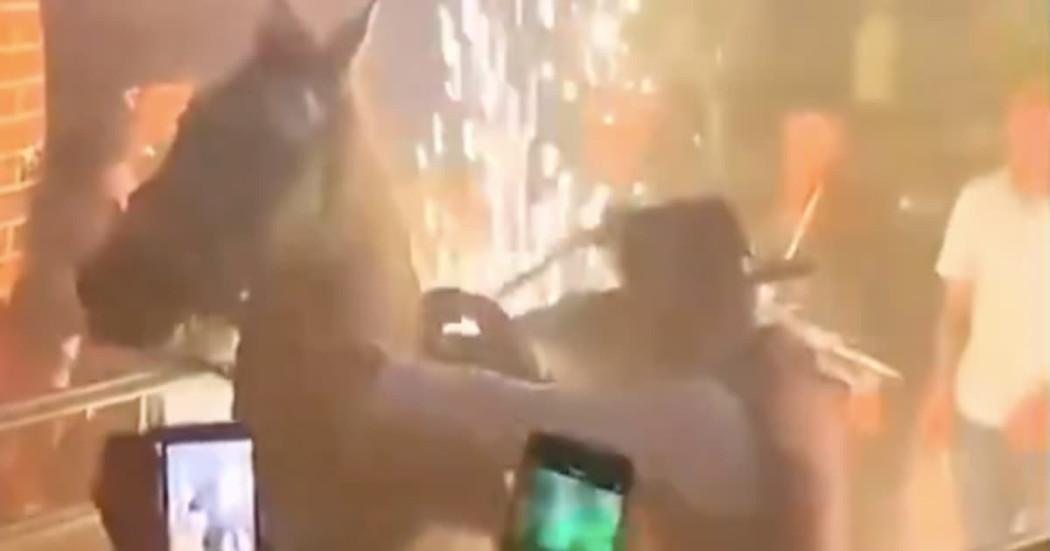 Foto que sustenta la denuncia de maltrato de caballo en bar Bogotá