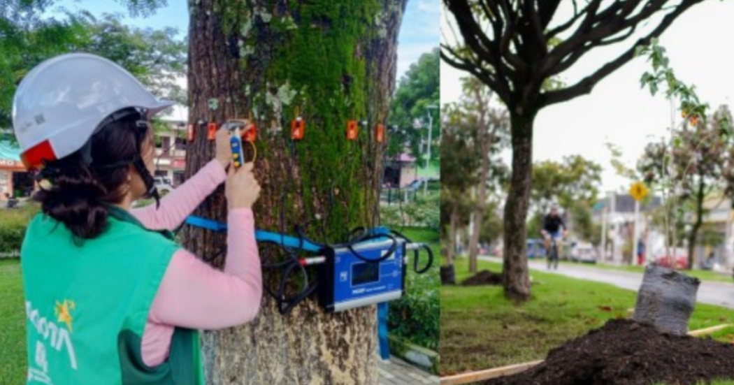 Imagen de funcionaria ejerciendo su profesión 