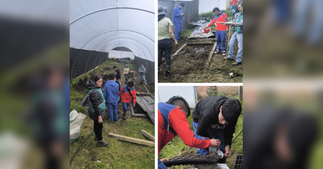 Imagen de estudiantes cultivando la tierra.