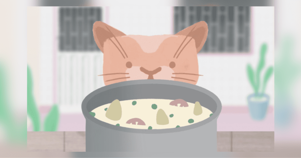 Imagen de un gato cafeclaro que enfrente tiene una olla gris con comida