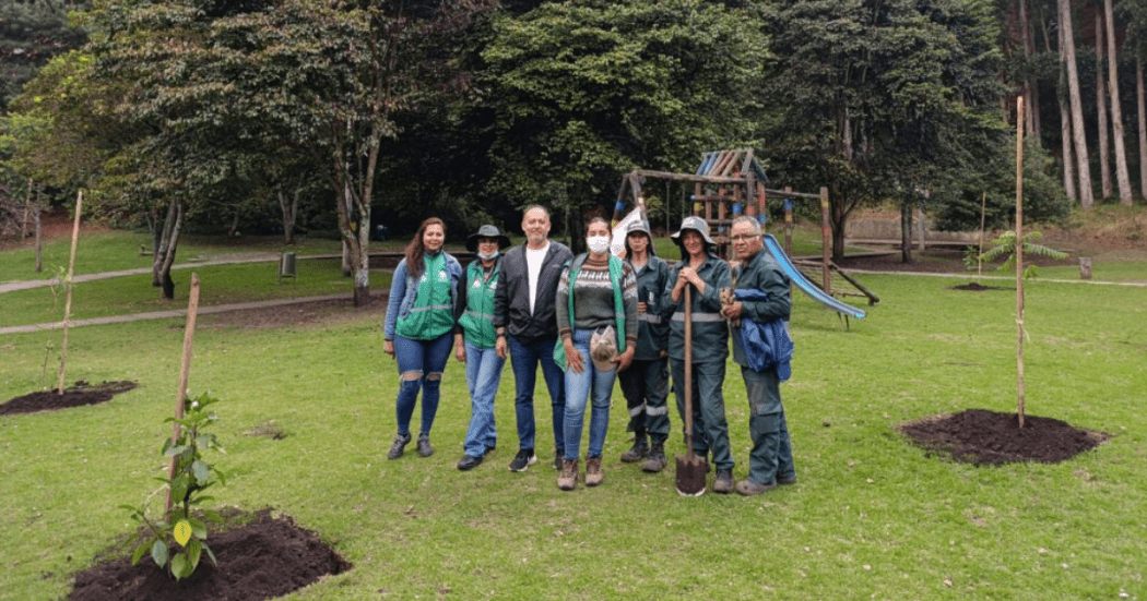 Imagen de funcionarios del Jardín Botánico José Celestino Mutis plantando arboles